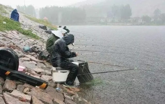 入秋下雨天钓鱼,钓深还是钓浅,垂钓大师一般这样选择!
