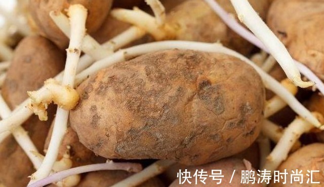 健康|转告父母:3种“食物”就算已经发芽,也可以放心的吃!