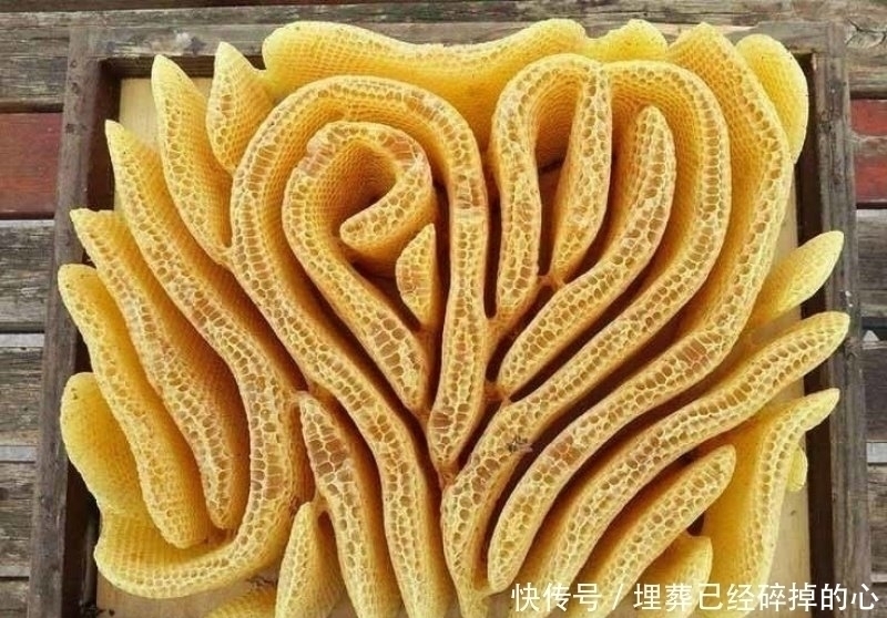 19张你能盯着看超过1分钟的惊奇照片,让你发现世界的奇妙!