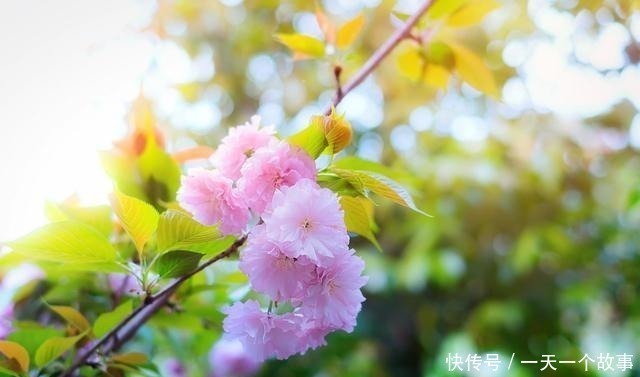 酬张少府|20首传诵千古的诗词,全是顶级名篇,每一首都值得背下来