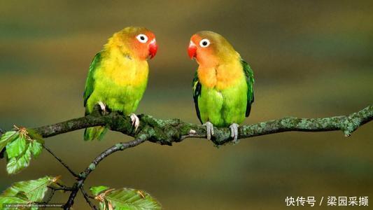 红尘|(原创散文)红尘中有你