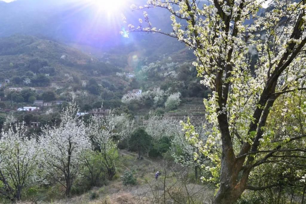 云浮大金山，有个像丹巴一样的地方