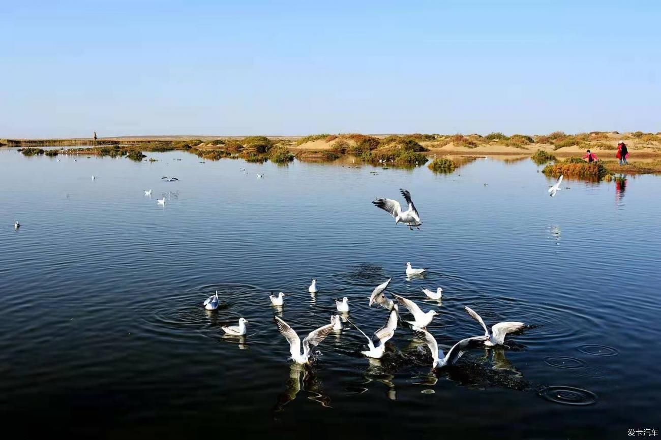 沙漠湖泊居延海