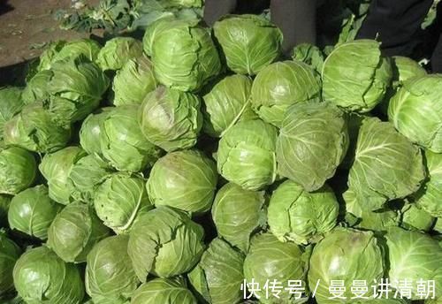 营养|会吃的人最健康，3种食物离不开，营养丰富，有益健康，试试看