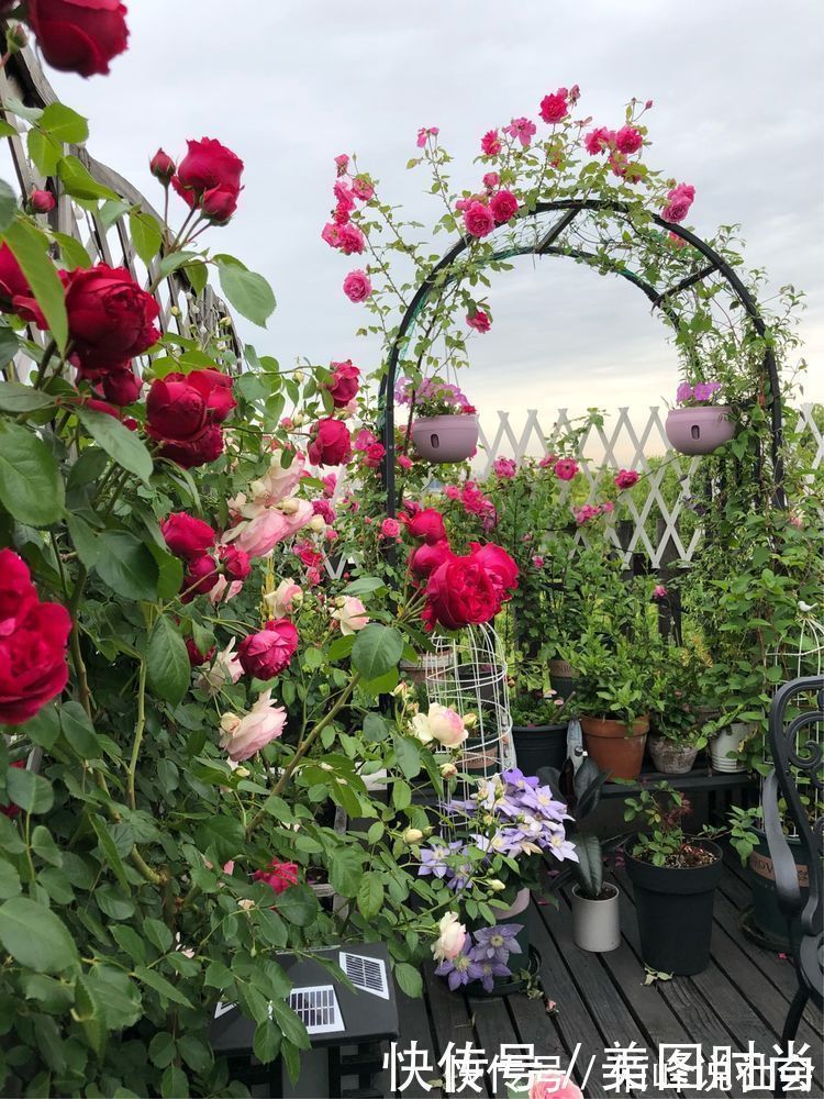 13㎡屋顶造花园,在喧嚣城市里,打造一个自己心灵深处的伊甸园