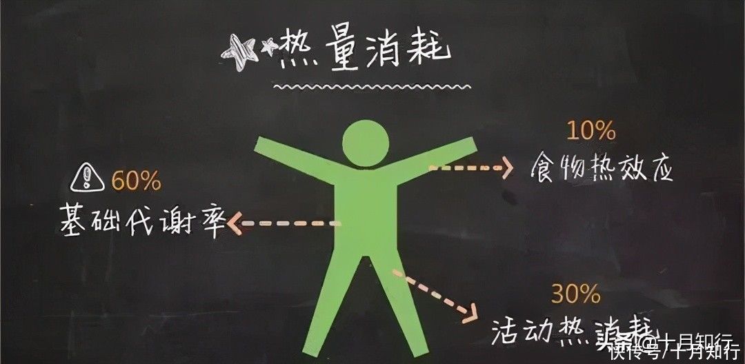 减肥方法|减肥减得很辛苦，怎么努力也不瘦，真的是基础代谢比别人慢吗？