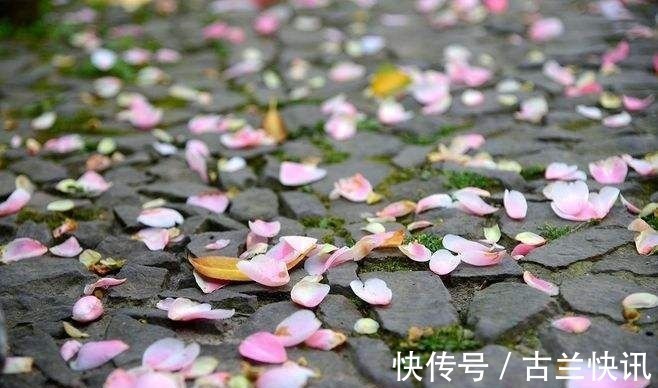 野菊!关于秋天的34首诗词,勾起了无数人的乡土情怀