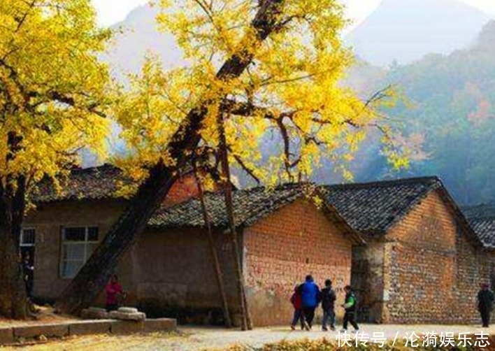 种树|“门前不栽竹,房后不栽树”,说的是啥为什么有这种说法