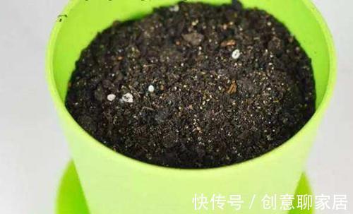 养花旧土不要扔,自己在家简单处理变新土,照样可以养花