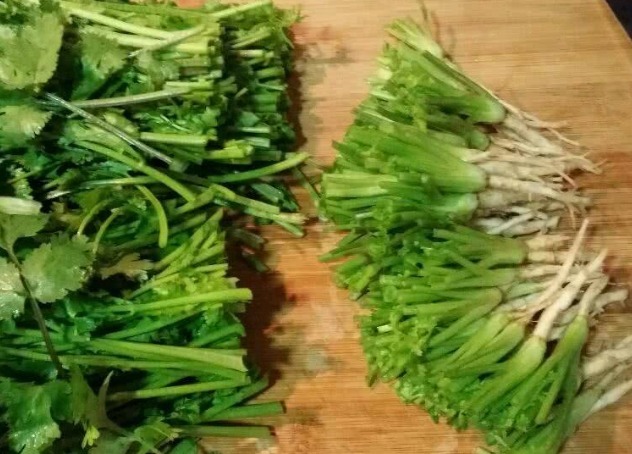 泡水|女性常喝“香菜根”泡水,三个好处主动上门,但3个事项要了解