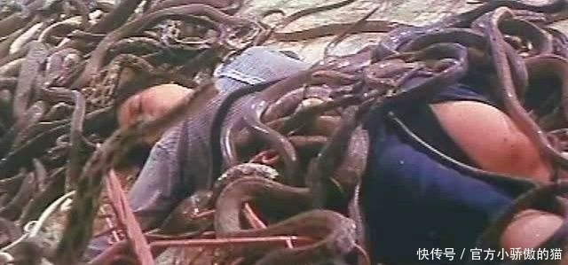 始末|中国1983年蛇灾是怎么回事?揭秘关于1983年中国蛇灾始末