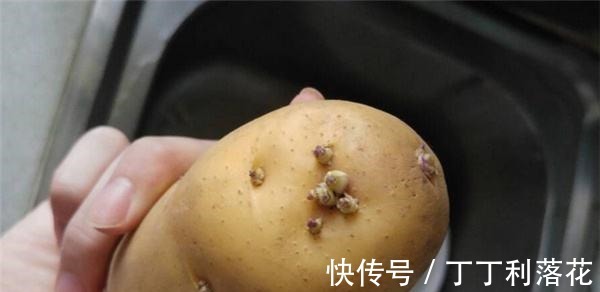 原来保存土豆这么简单，放一年都不发芽不腐烂，越早学会越受益！