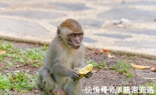 夏至|夏至开始，苦尽甘来，财运旺盛，生活越来越精彩的五大生肖