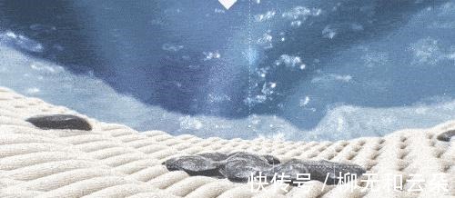 这些物品,看着不实用,用了之后却发现真香!