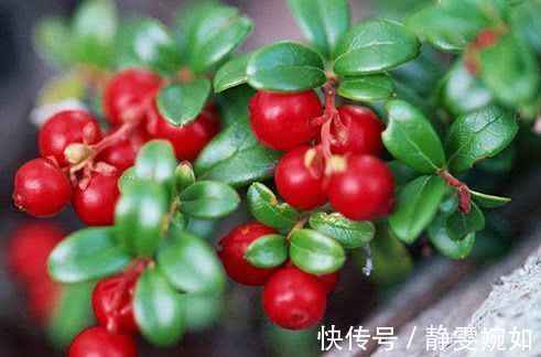 延缓衰老|聪明人最爱吃3种食物,排毒养颜、延缓衰老,好处多多!