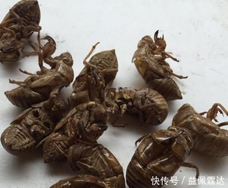 睡眠|年龄越大，失眠越重！3果3水是纯天然的“安眠药”，常吃可缓解