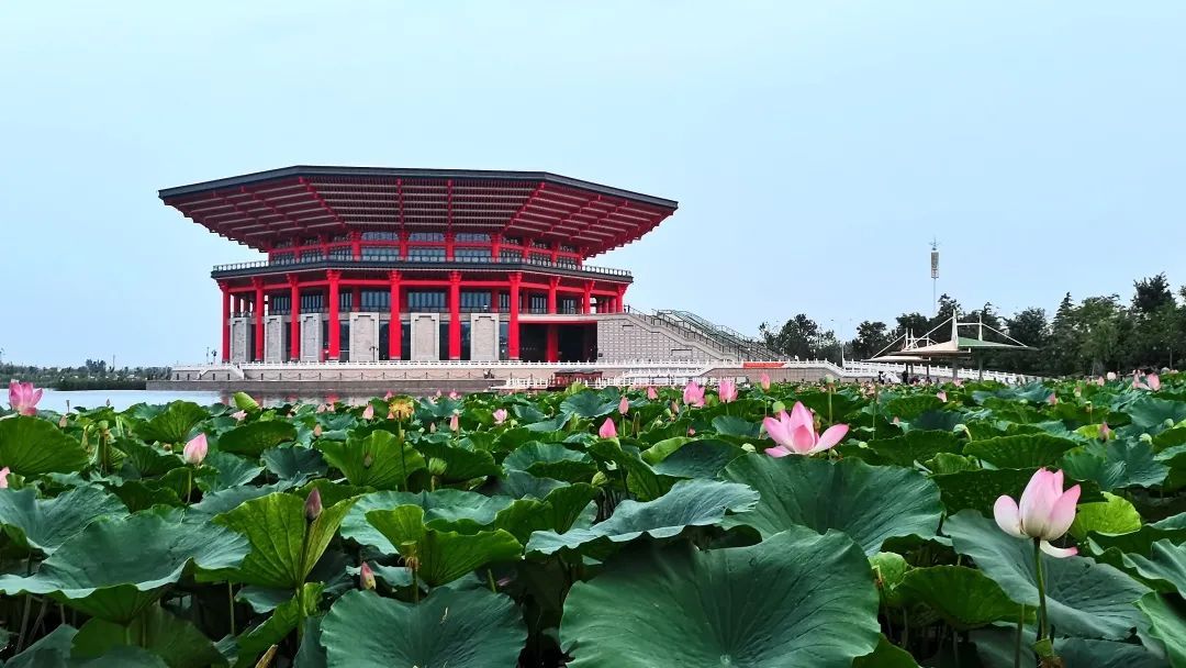 壮馍|快来打卡身边古城，坐火车来一场秋日之旅吧