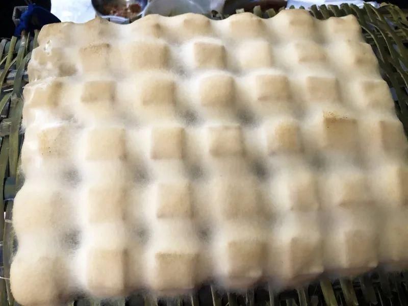  豆腐|石柱农村做的霉豆腐，久违的家乡味道！你有多久没吃了？
