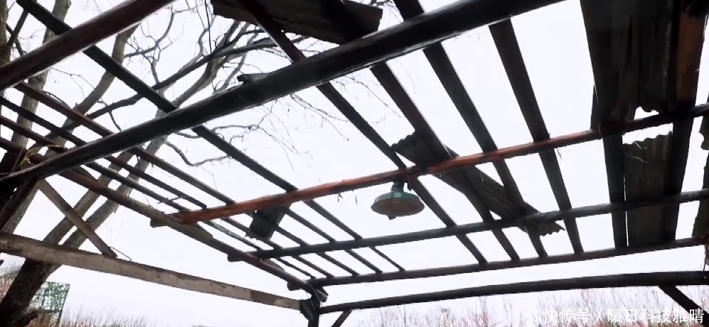 那點事|新一季《向往的生活》有看頭，這次不是別墅，而是毛坯房