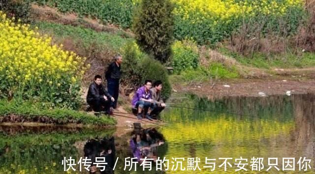 春钓时,每天这两个时间段钓鱼都是连竿,许多钓友竟然还在睡觉