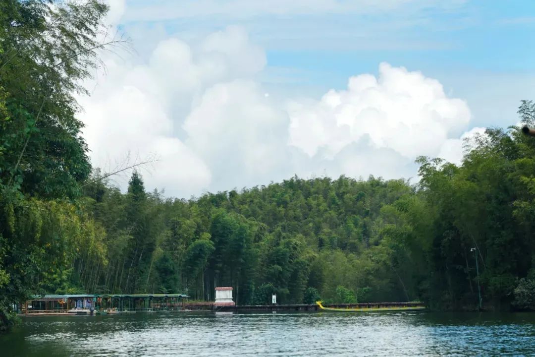 有朋自远方来|《从长江的尽头回家》宜宾美食之旅启程 刘仪伟：有朋自远方来不亦“吃”乎