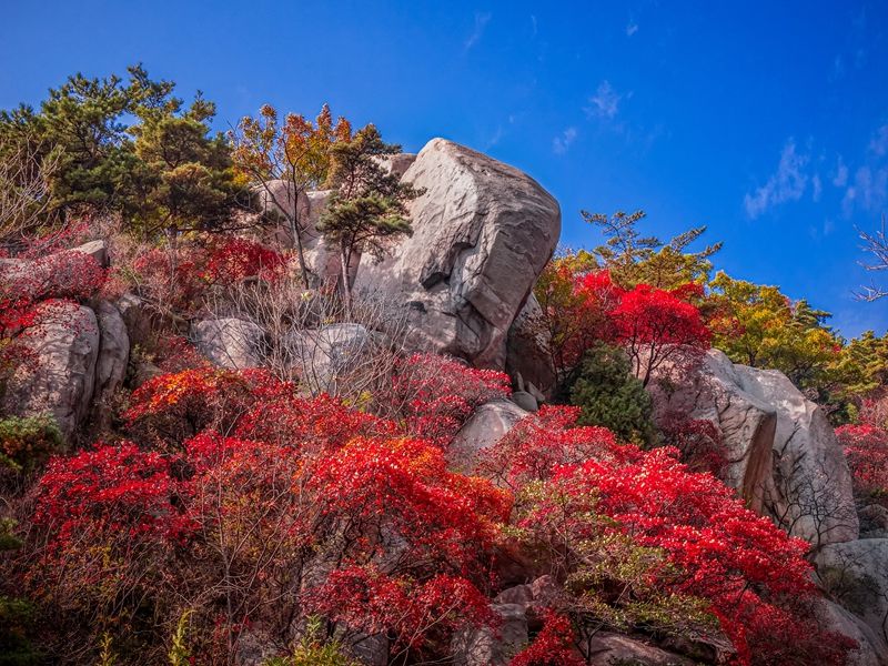 林翠|层林尽染新甫山 梦幻彩林景醉人