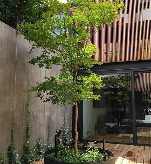 别有洞天|传统庭院过时了,现在流行下沉式庭院,曲径通幽,让家别有洞天