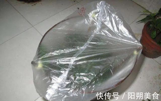 枝条|5种花,趁现在“赶紧扦插”,生根快,长得快,一个月就开花