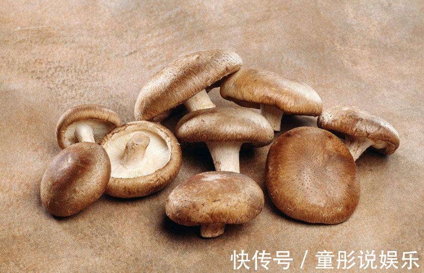 驴肉|香菇不能与此物一起食用，却有很多人还不清楚，看完告诉身边人