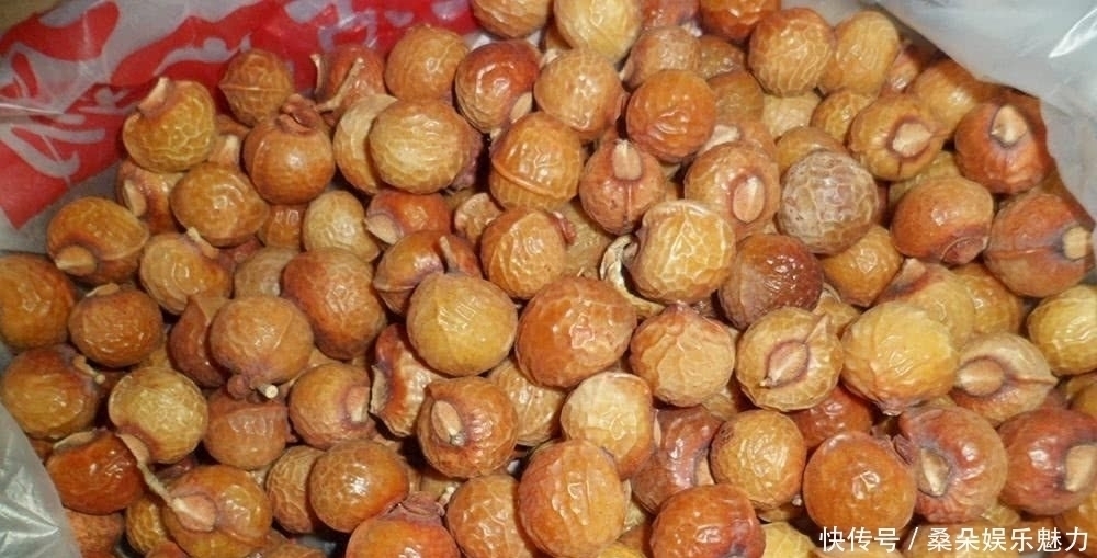 人称“鬼见愁”,长得酷似龙眼,果肉能当肥皂用,种子能做手链