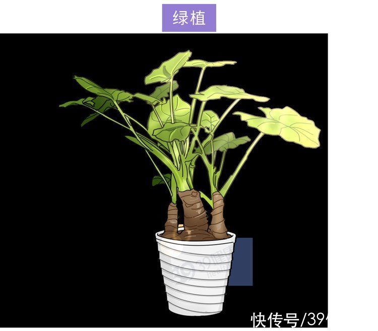 地理科学|为什么听到划黑板的声音，就浑身起鸡皮疙瘩？大多数人没想到