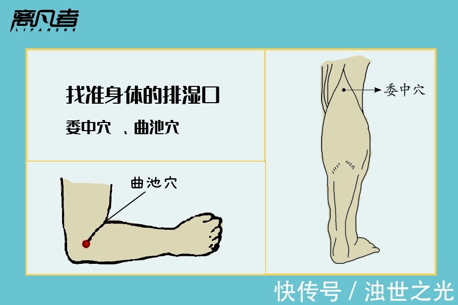 薏米红豆粥|三伏到，教您如何祛寒湿！
