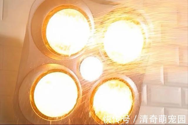 暖风|卫生间安装浴霸,不要只关注品牌,安装位置才是吹出暖风的关键