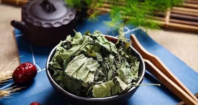  良药|1片桑叶9味良药！老中医教你桑叶妙用，9大功效受用一生！