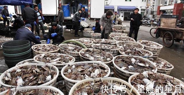 蒸螃蟹|蒸螃蟹，冷水上锅还是开水上锅，十人九个错，难怪蟹黄外流腥味重！