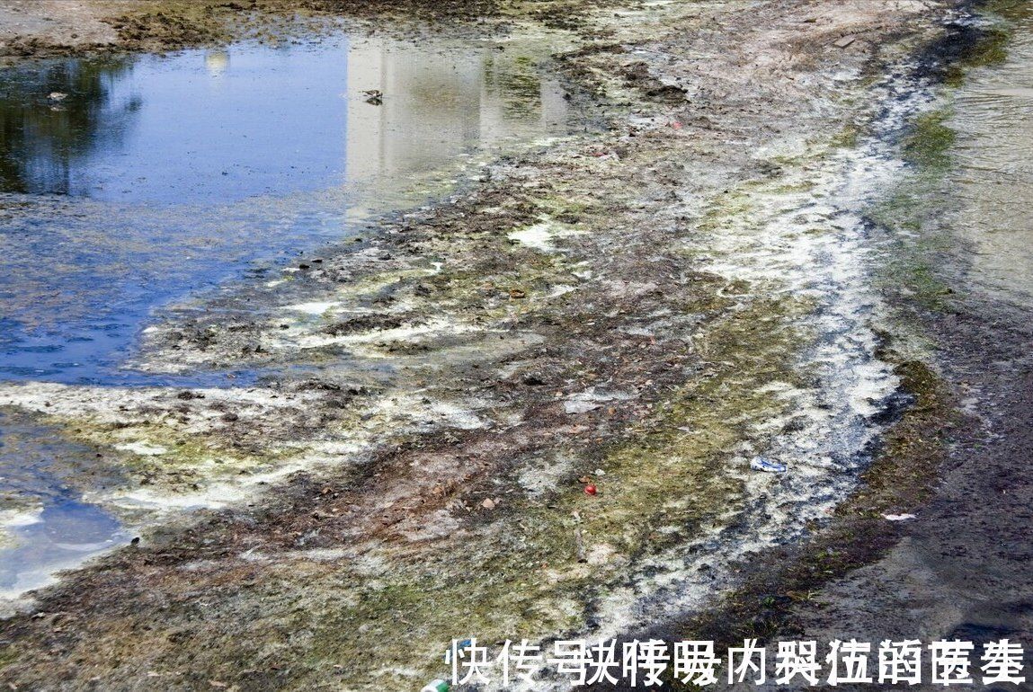 养生|59岁的养生专家,因肠癌去世,为何生活健康的人也会患癌?