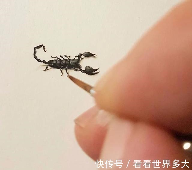 砂糖粒@惊爆眼球!60岁帅大爷在头发丝上画画,米粒、瓜子都给他当画布!