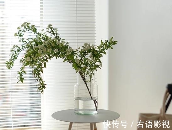 学问|房间布置,是一门学问