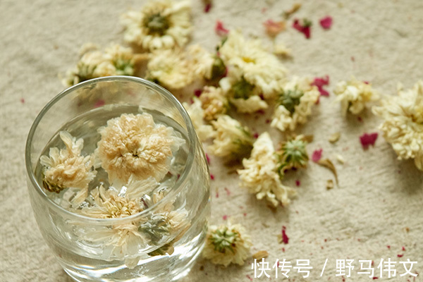 菊花枸杞茶|菊花和这些搭配好,经常泡水喝,有助抗衰老,降血压