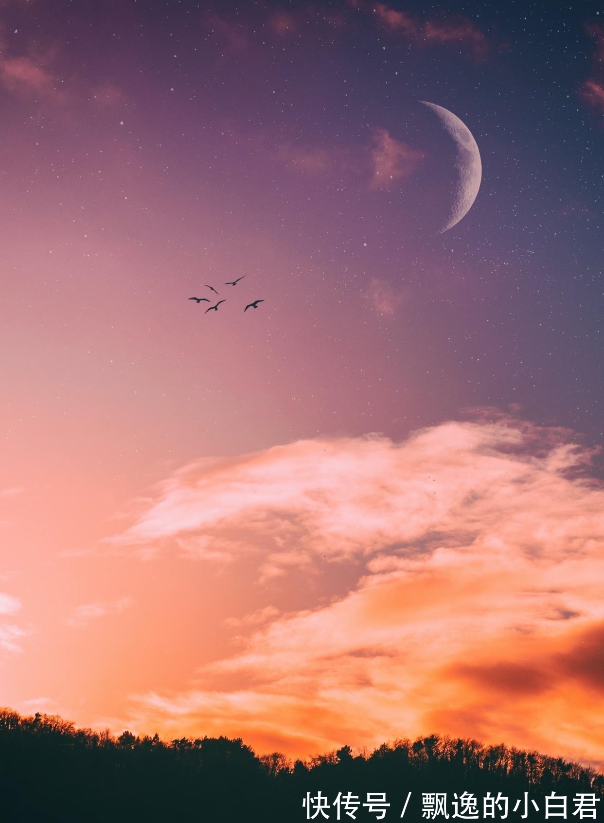 如斯夫#唐代很冷门的一首咏月诗,短短28字通俗接地气,讲的道理却很深刻