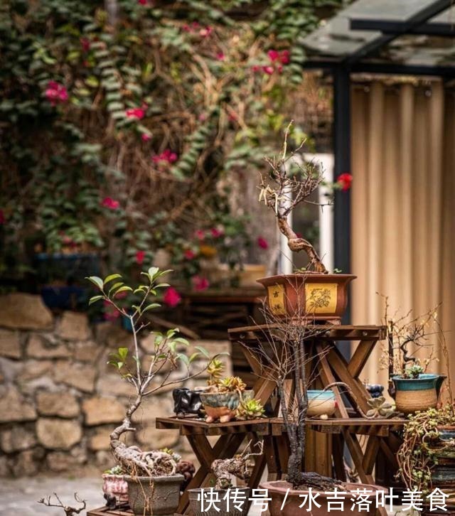 在珠海市中心,一个隐藏的老院隐藏着一个食品研究所