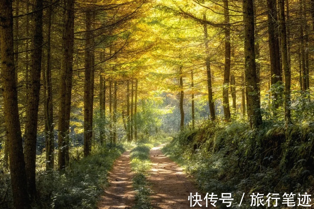 许家山|秘境徒步｜秦岭留坝深处这四条线路，惊艳了整个秋天