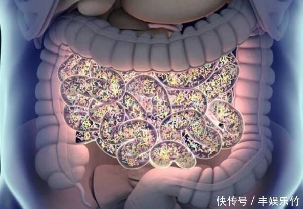 肠胃|50岁后,若能熬过3道“坎”,长寿或会偏爱你,分享给有缘人!