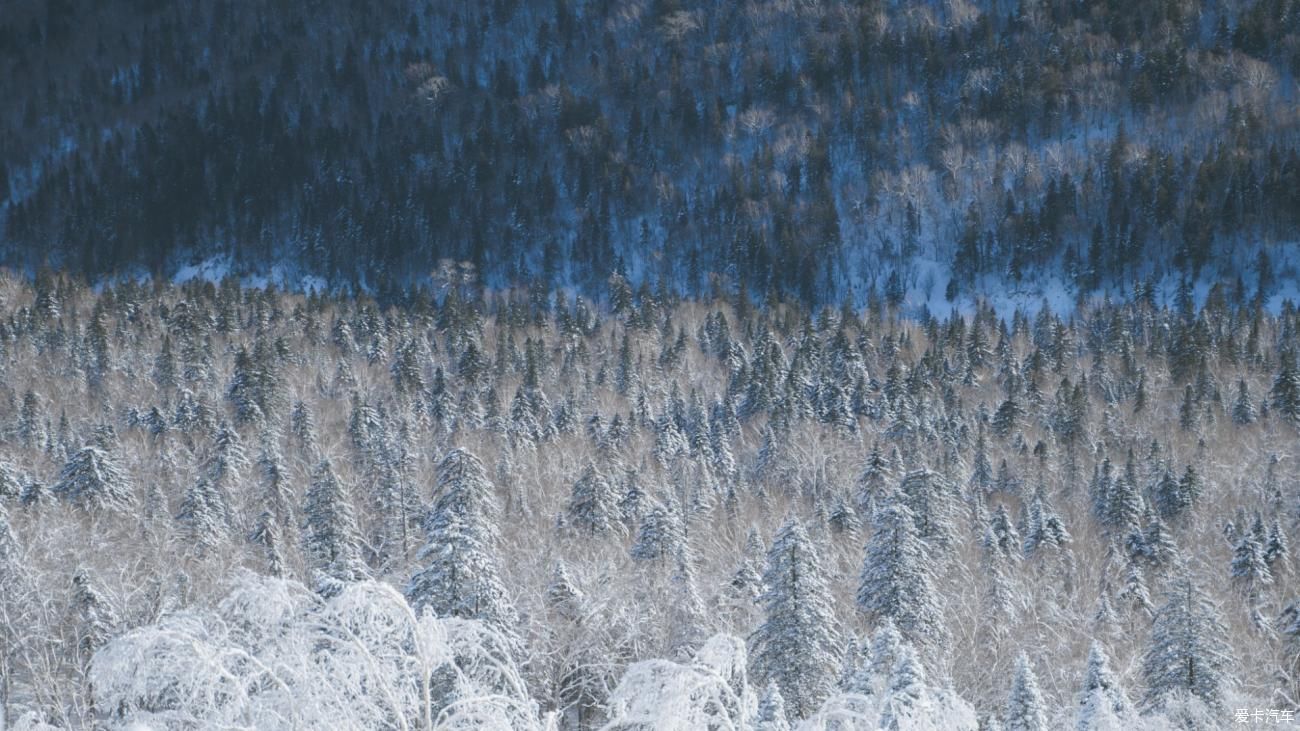 老年|在寂静雪原 遇见雪花真实的形状