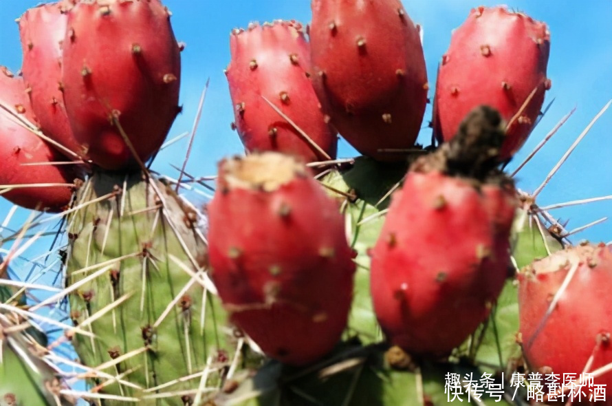  衰老|想长寿全靠吃，几种食物不错过，滋养肌肤，延缓衰老，更显年轻