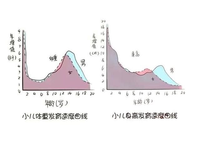 身高|都说养儿日日新,新在哪呢?长个子呗