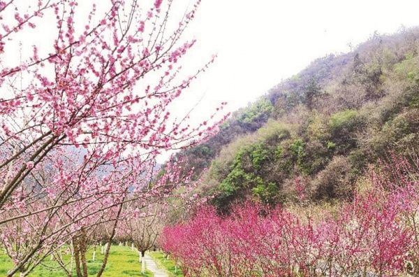 九真山|好消息！湖北新增武汉市九真山等8家4A景区和6家省级旅游度假区