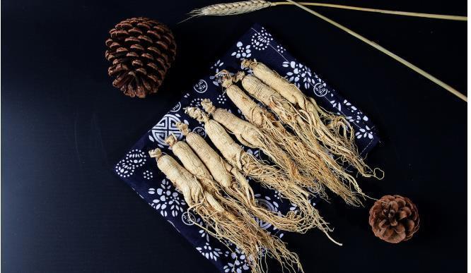 用药|中医所说的“人参杀人人不知,大黄救人人不用”是什么意思?