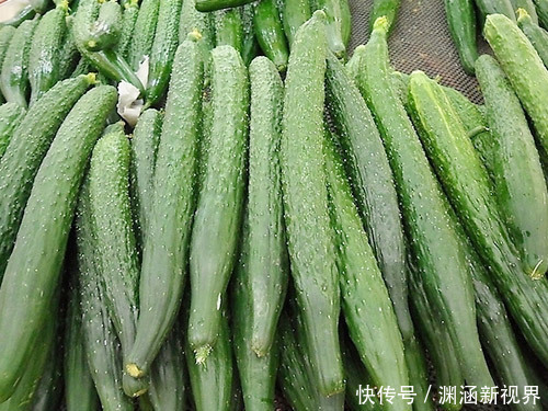 茭白|早上称体重和晚上称体重,哪一种是真实体重多数人并不清楚