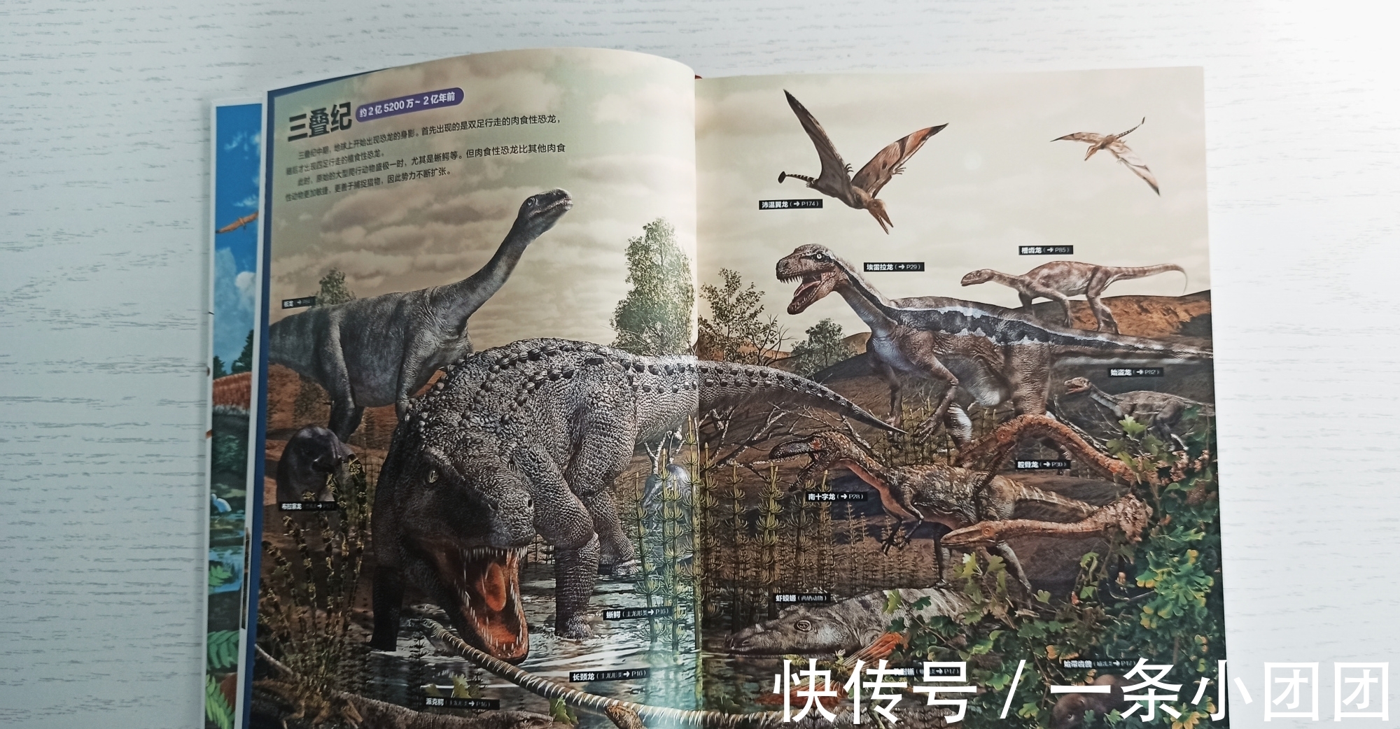 哆啦a梦#一本关于恐龙的百科书,让孩子爱上恐龙的世界